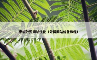 惠城外贸网站优化（外贸网站优化教程）