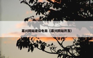 嘉兴网站建设电商（嘉兴网站开发）