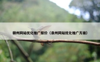 赣州网站优化推广报价（泉州网站优化推广方案）