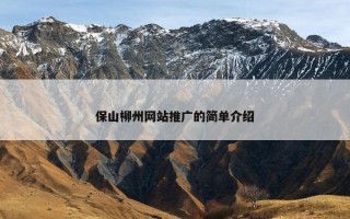 保山柳州网站推广的简单介绍
