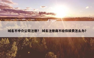 域名不中介公司注册？ 域名注册商不给你续费怎么办？