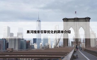 黑河搜索引擎优化的简单介绍