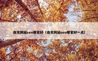 南充网站seo哪家好（南充网站seo哪家好一点）