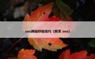 seo网站秒拍技巧（网页 seo）