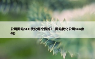 公司网站SEO优化哪个做好？ 网站优化公司seo案例？