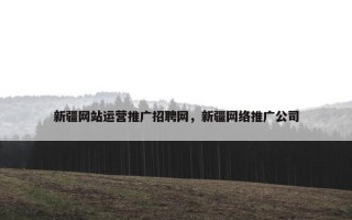 新疆网站运营推广招聘网，新疆网络推广公司