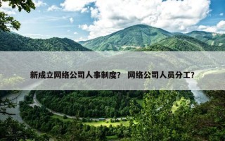 新成立网络公司人事制度？ 网络公司人员分工？