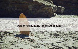 志愿队伍建设方案，志愿队组建方案