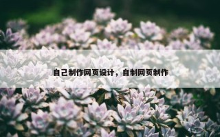 自己制作网页设计，自制网页制作