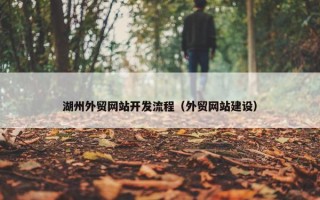 湖州外贸网站开发流程（外贸网站建设）