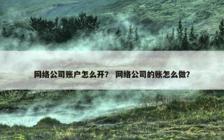 网络公司账户怎么开？ 网络公司的账怎么做？