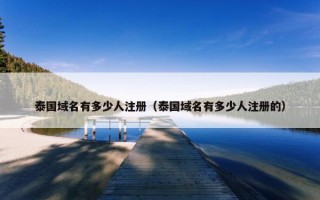 泰国域名有多少人注册（泰国域名有多少人注册的）