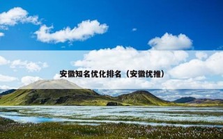 安徽知名优化排名（安徽优推）