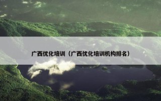 广西优化培训（广西优化培训机构排名）