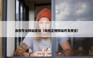 南阳专业网站建设（南阳正规网站开发便宜）