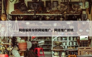 网络骗局分析网站推广，网络推广的坑