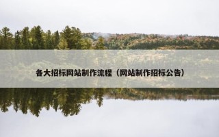 各大招标网站制作流程（网站制作招标公告）