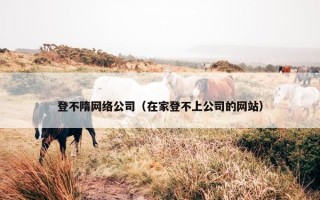 登不隋网络公司（在家登不上公司的网站）