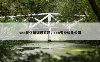 seo优化培训哪家好，seo专业优化公司