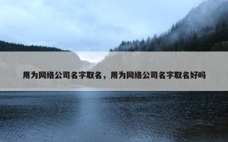 用为网络公司名字取名，用为网络公司名字取名好吗