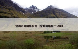 宝鸡市内网络公司（宝鸡网络推广公司）