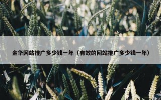 金华网站推广多少钱一年（有效的网站推广多少钱一年）