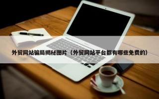 外贸网站骗局揭秘图片（外贸网站平台都有哪些免费的）
