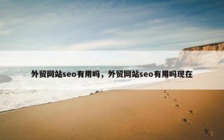 外贸网站seo有用吗，外贸网站seo有用吗现在