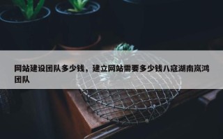 网站建设团队多少钱，建立网站需要多少钱八寇湖南岚鸿团队
