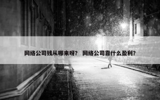 网络公司钱从哪来呀？ 网络公司靠什么盈利？