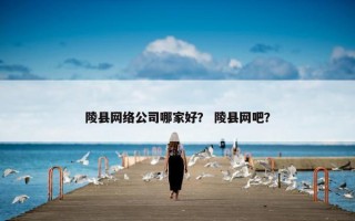 陵县网络公司哪家好？ 陵县网吧？