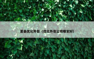 萧县优化外包（优化外包公司哪家好）