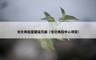 文化体验室建设方案（文化体验中心项目）