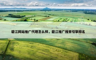 碧江网站推广代理怎么样，碧江推广搜索引擎排名