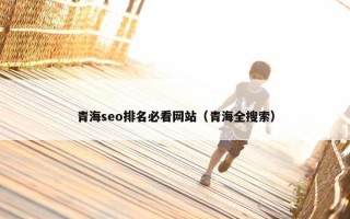 青海seo排名必看网站（青海全搜索）