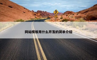 网站模板用什么开发的简单介绍