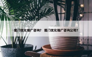 厦门优化推广咨询？ 厦门优化推广咨询公司？