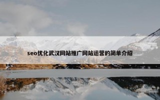 seo优化武汉网站推广网站运营的简单介绍