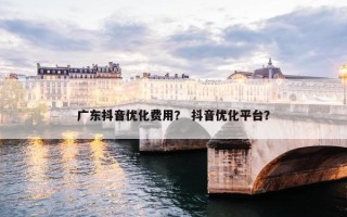 广东抖音优化费用？ 抖音优化平台？