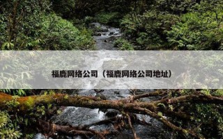 福鹿网络公司（福鹿网络公司地址）