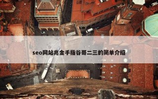seo网站兆金手指谷哥二三的简单介绍