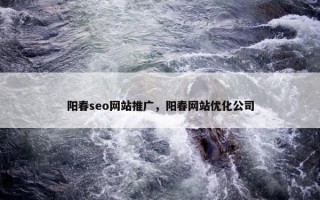 阳春seo网站推广，阳春网站优化公司