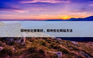 郑州优化哪里好，郑州优化网站方法