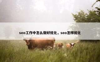 seo工作中怎么做好优化，seo怎样优化