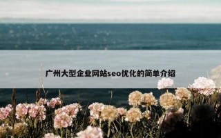 广州大型企业网站seo优化的简单介绍