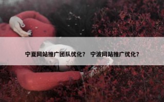 宁夏网站推广团队优化？ 宁波网站推广优化？