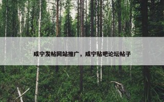 咸宁发帖网站推广，咸宁贴吧论坛帖子