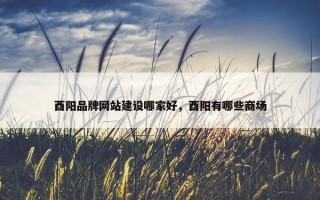 酉阳品牌网站建设哪家好，酉阳有哪些商场