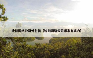 沈阳网络公司外包装（沈阳网络公司哪家有实力）