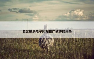 包含横沥电子网站推广软件的词条